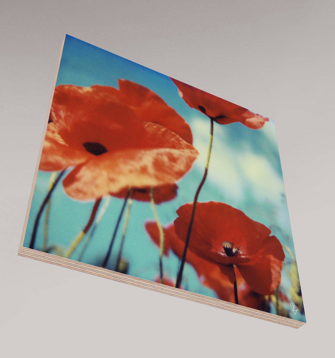 Poppy Realm #01, 2006
