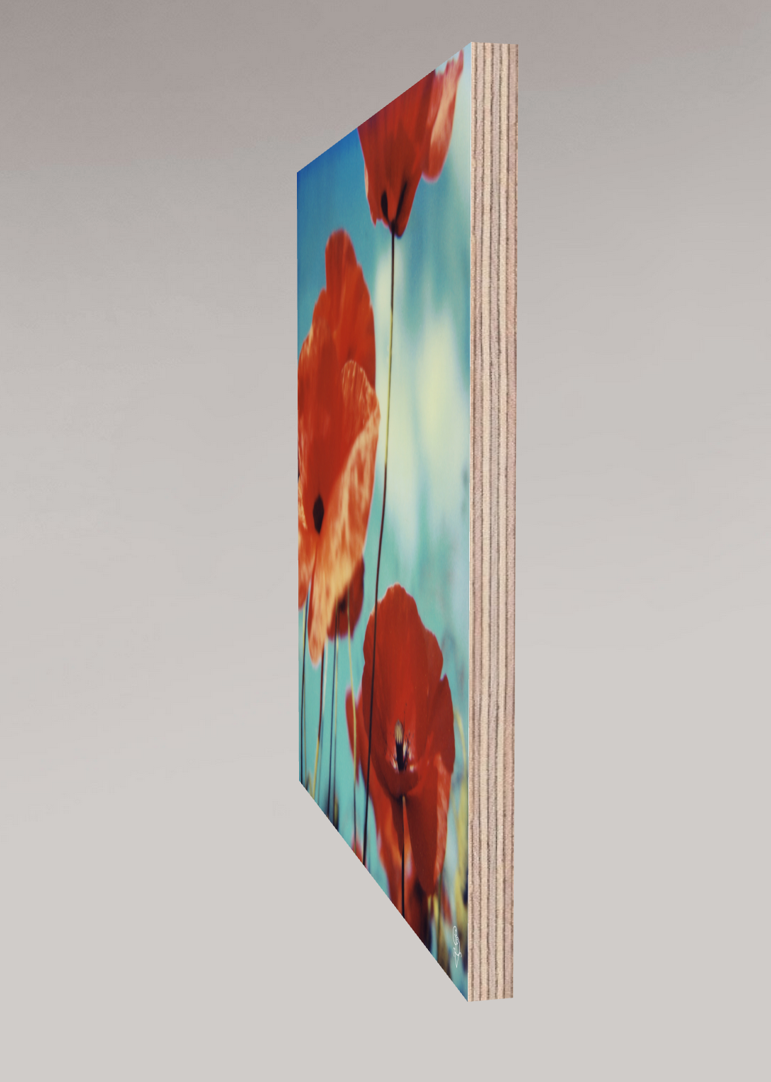 Poppy Realm #01, 2006