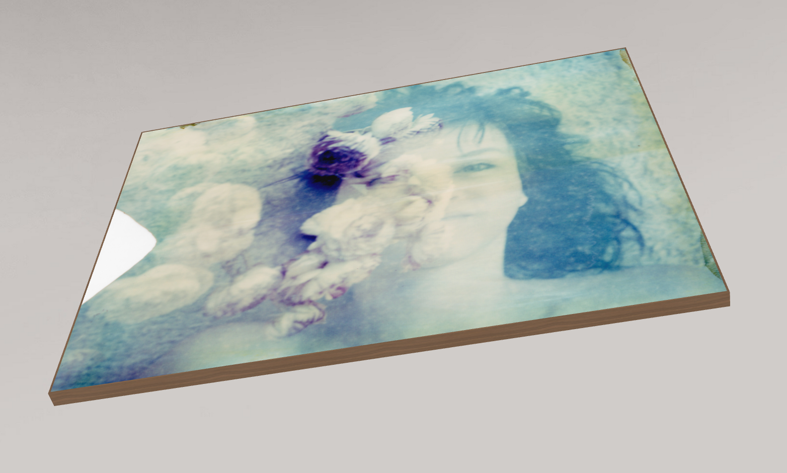 Renoncule #01, 2009