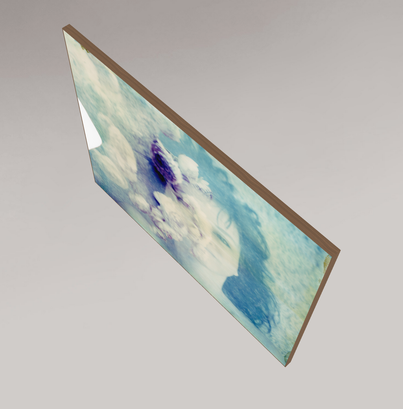 Renoncule #01, 2009