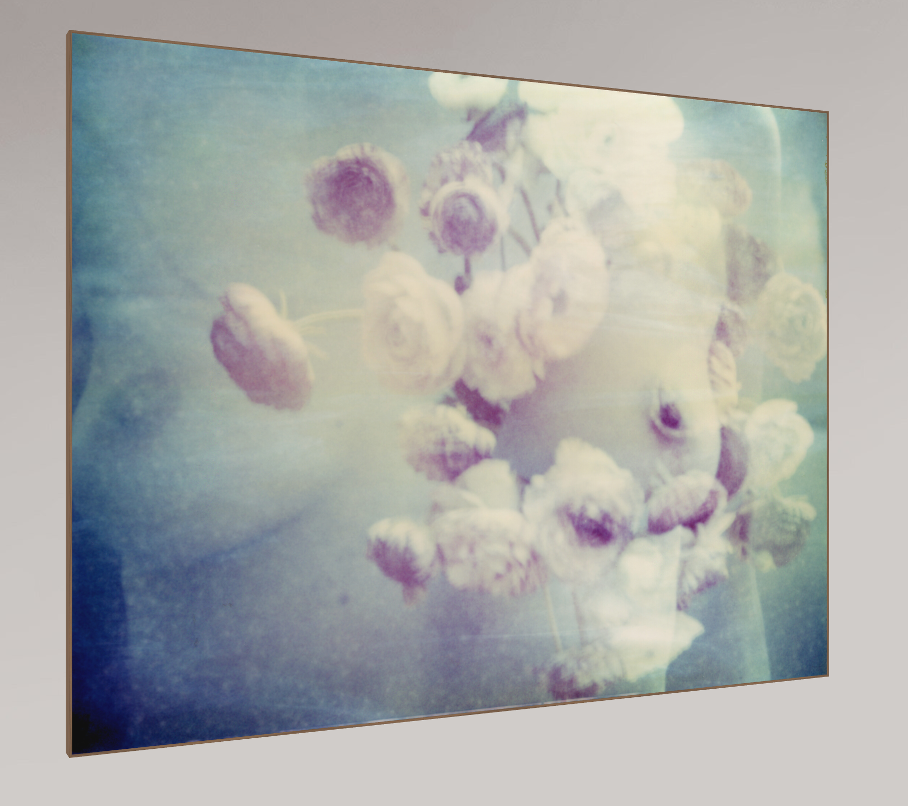 Ranonkel #02, 2009