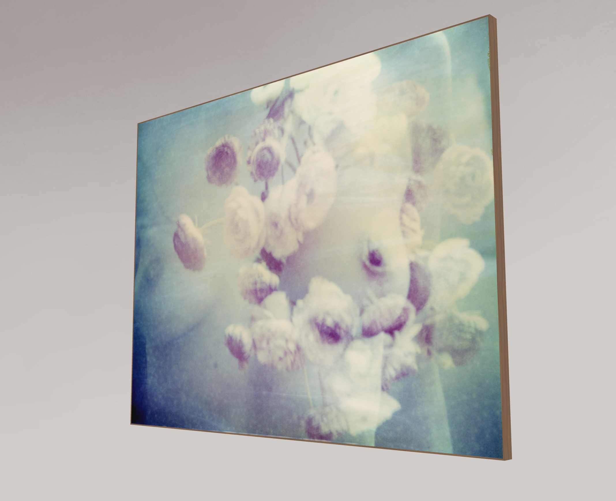 Ranonkel #02, 2009