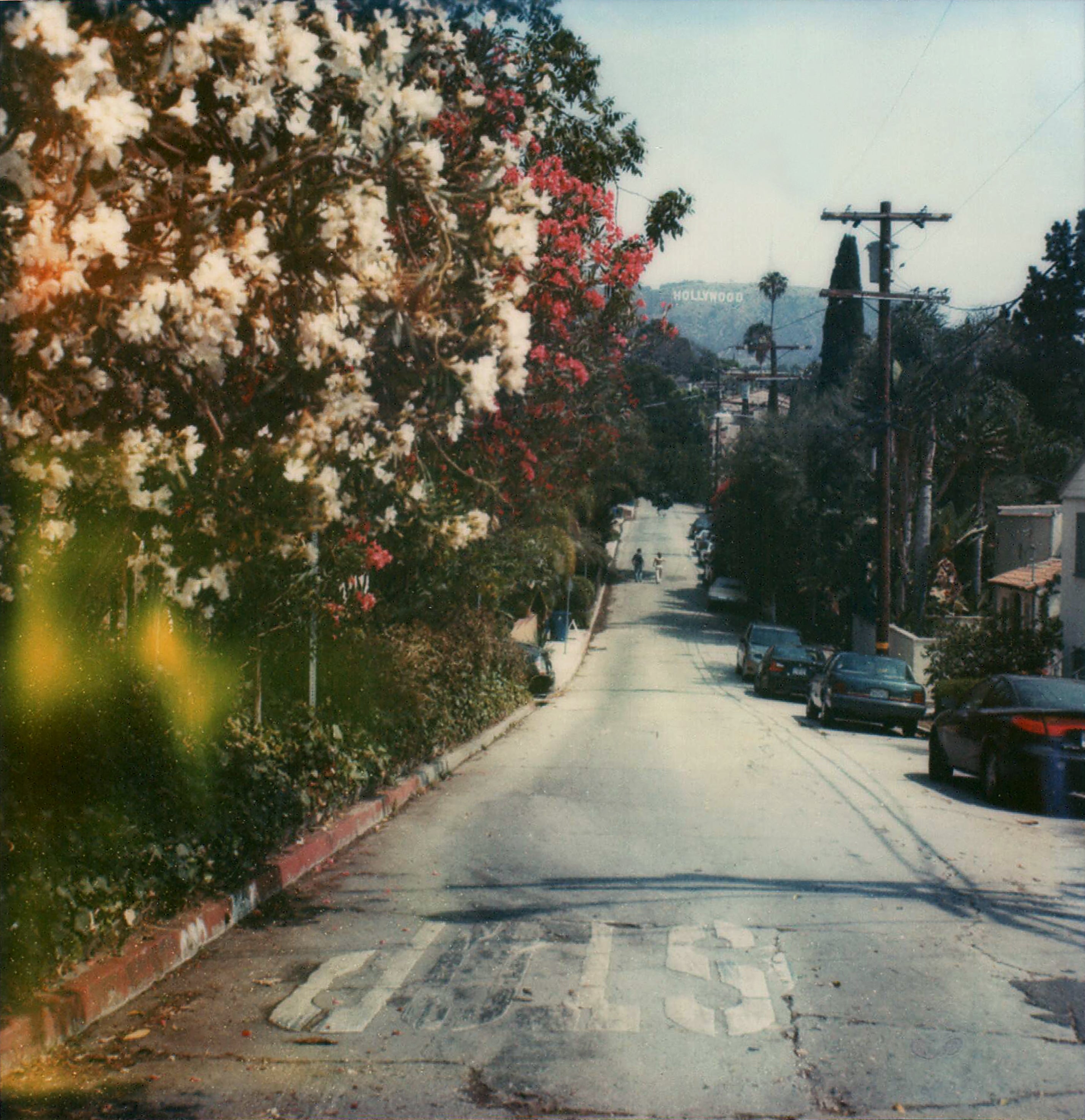 Hollywood nº 23, 2007