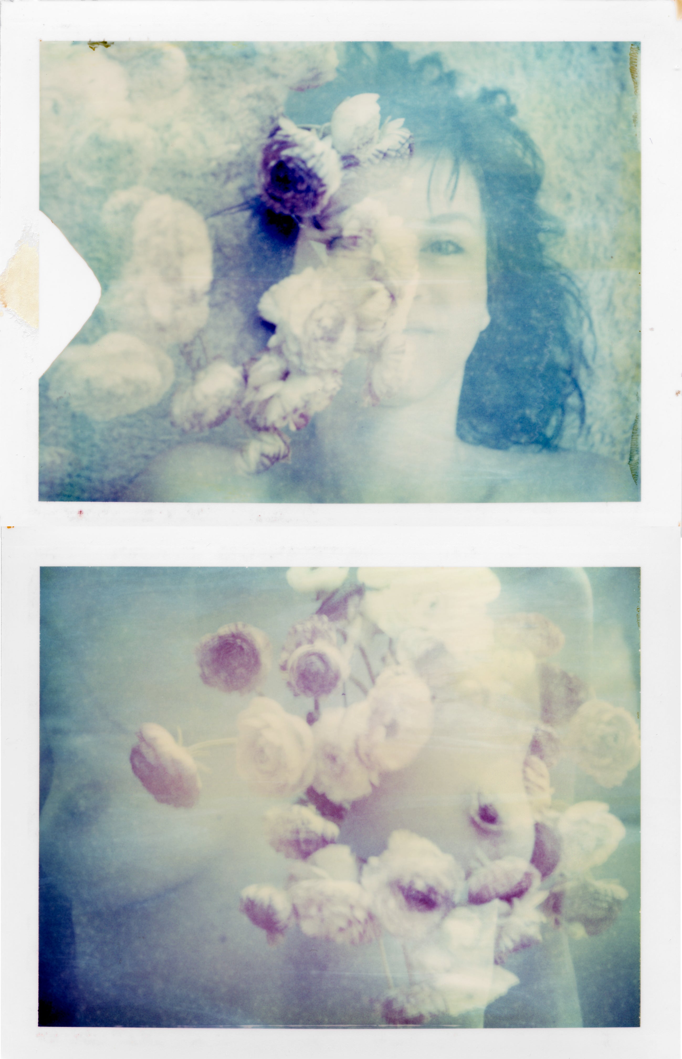 Renoncule #diptyque, 2009