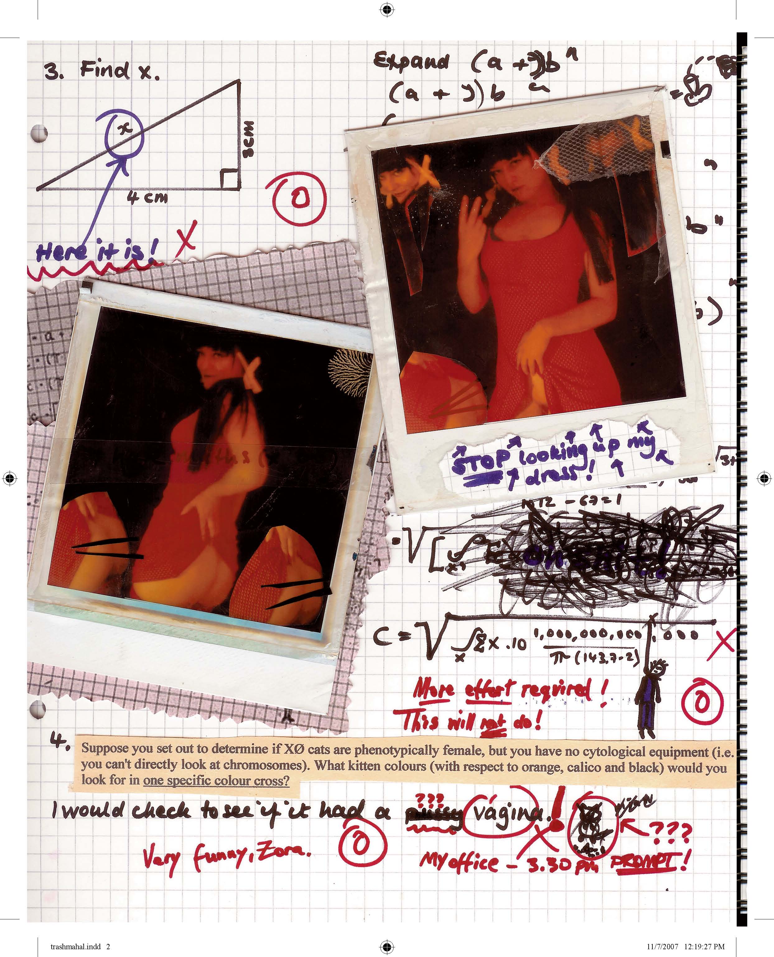 Marca #02, 2007