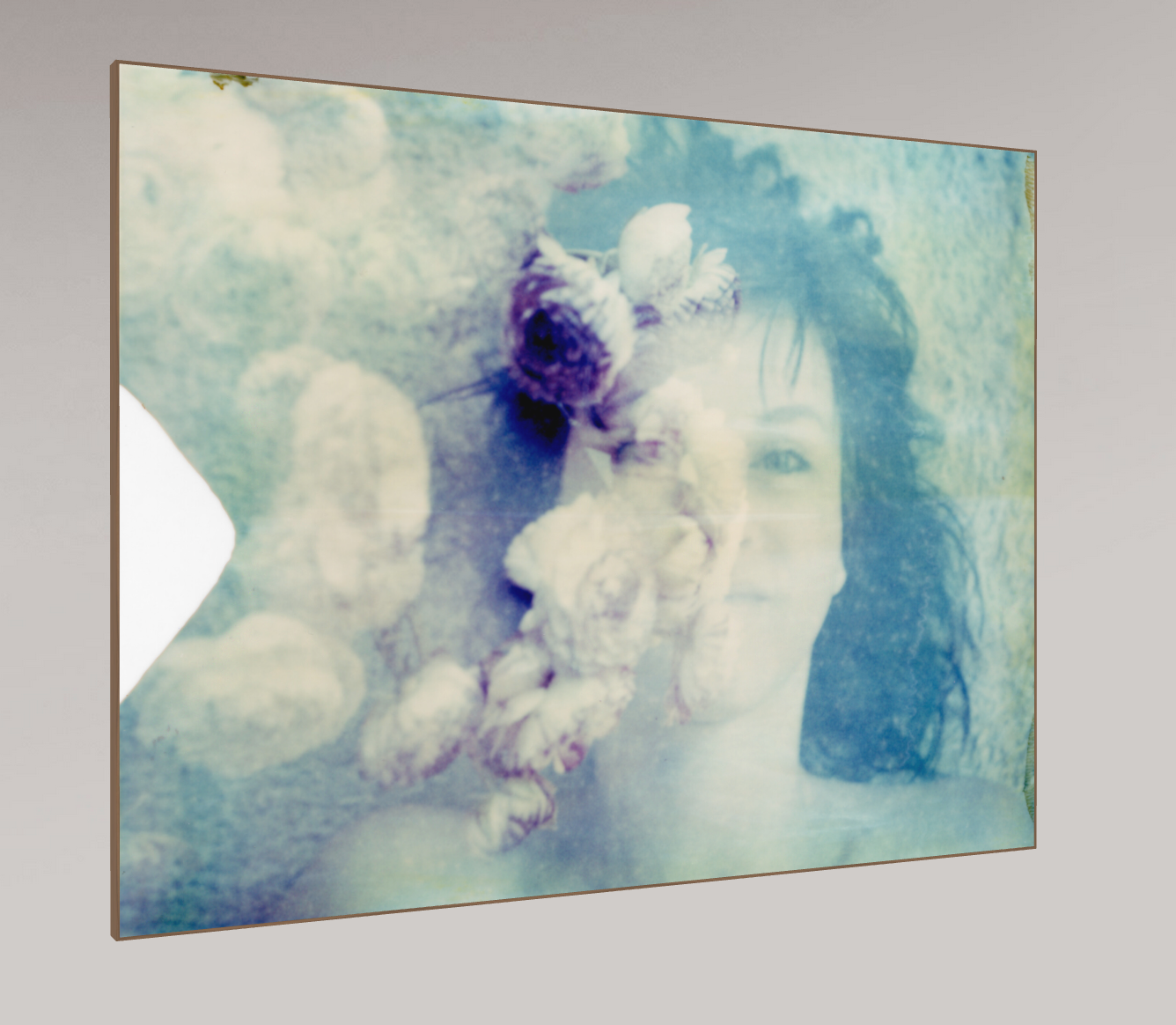 Ranonkel #01, 2009